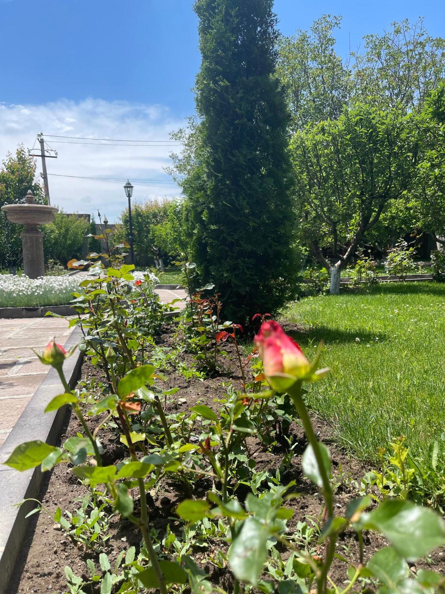 In Gyumri Hotel Kültér fotó